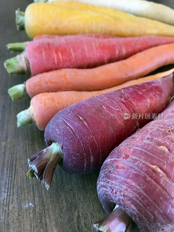 自家种植的新鲜的彩虹胡萝卜从我的乡村花园