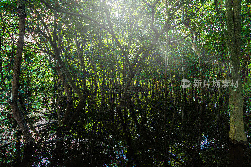 伊格拉皮和伊格拉波湿地