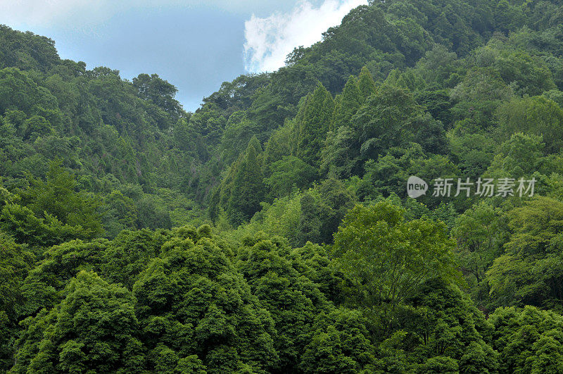 山鸟瞰图