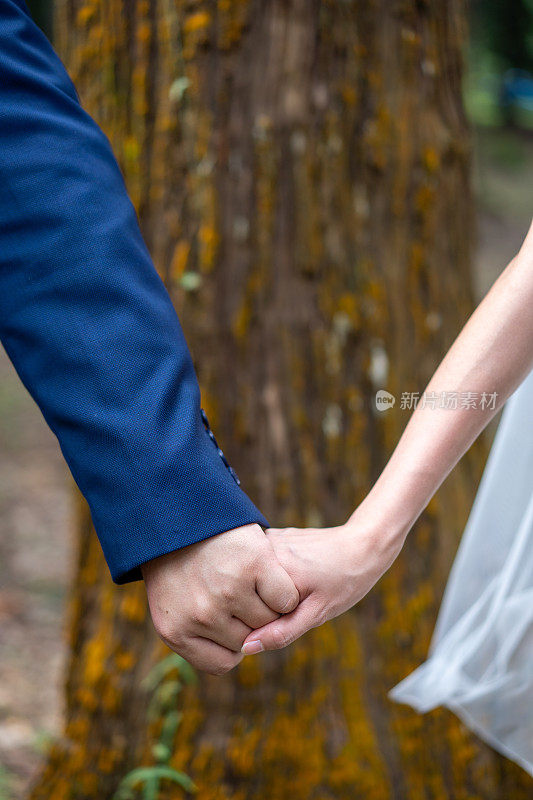 新婚夫妇穿着正式的婚礼服装，手牵着手站在树干前