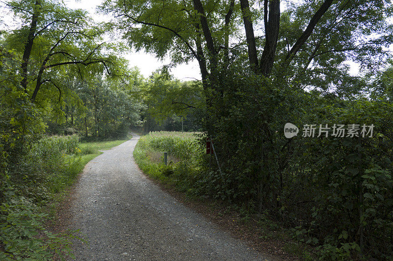 乡间小路