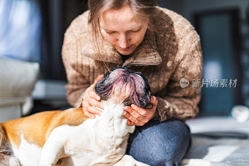 成年女子和她的法国斗牛犬在家里