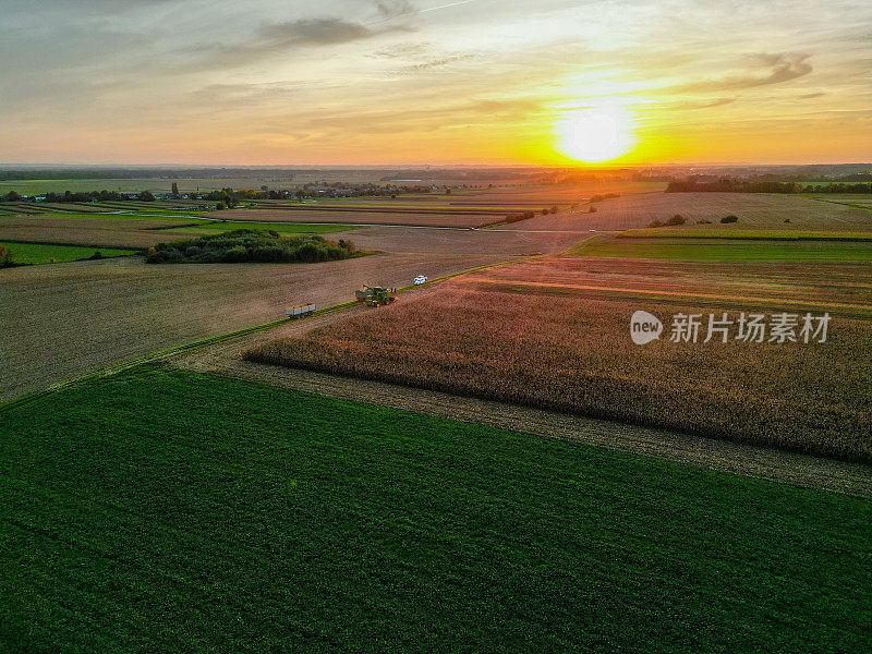 日落时两个不同的麦田的鸟瞰图，拖拉机和拖车在农田上