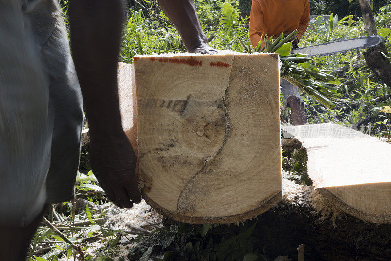 木匠和助理测量木材-库存照片
