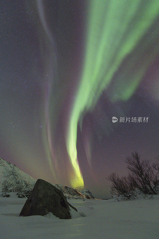 挪威罗弗敦，冰雪覆盖的冬季景观中，冰冻的湖面上的北极光