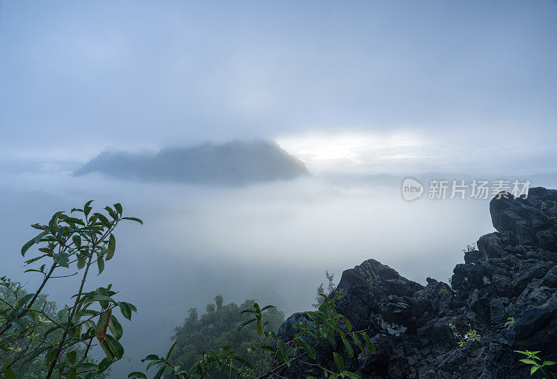 雾蒙蒙的丛林雨林与雾和分层的山脉范围从上面的日出。鸟瞰图。