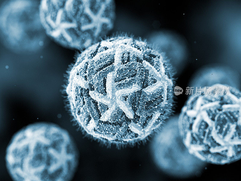 登革病毒细胞。显微镜幻灯片。概念