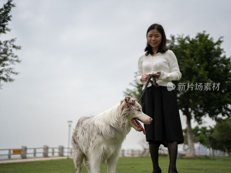 女人和狗的户外时光