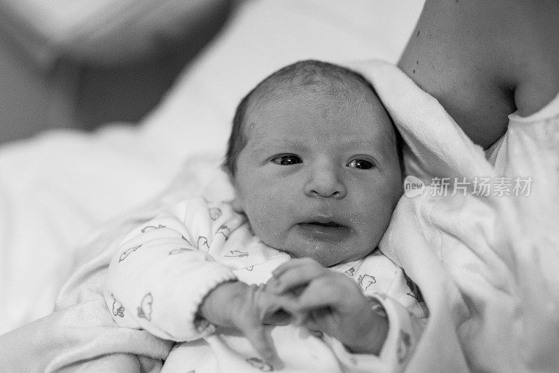刚出生的男婴在医院的肖像