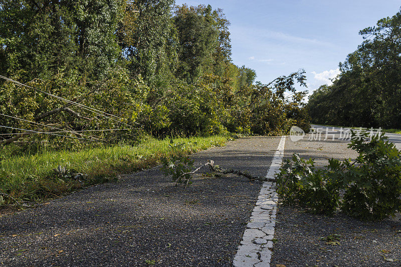 风暴过后，北佛罗里达州的电力线路中断，路障重重:通往小社区的高速公路上，折断的树木击中了电线杆。飓风过后