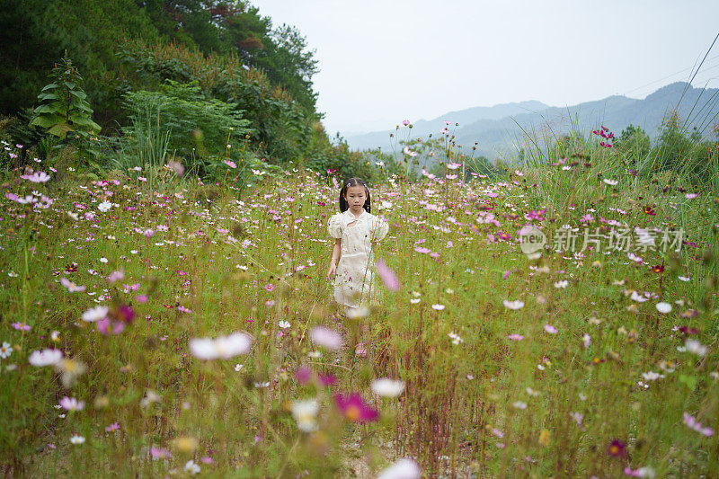 花丛中的小女孩