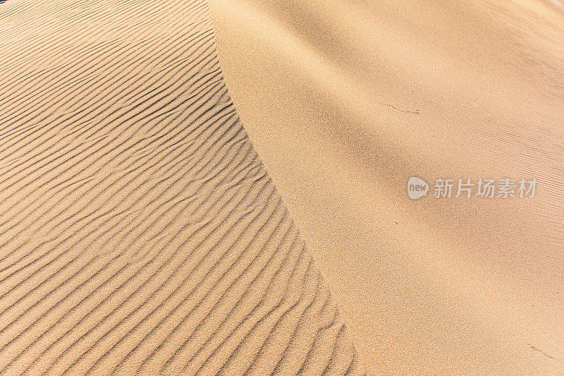 沙漠景观中自然风塑造的山脊、形状和图案的孤立细节