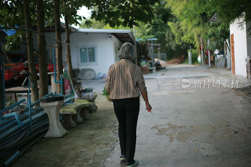 退休妇女在她的花园里