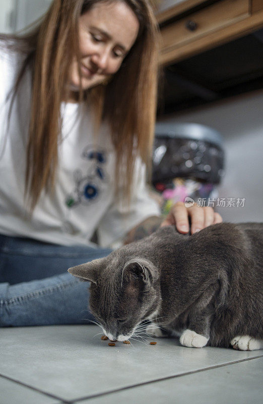 微笑的主人在家里的厨房地板上喂她可爱的猫