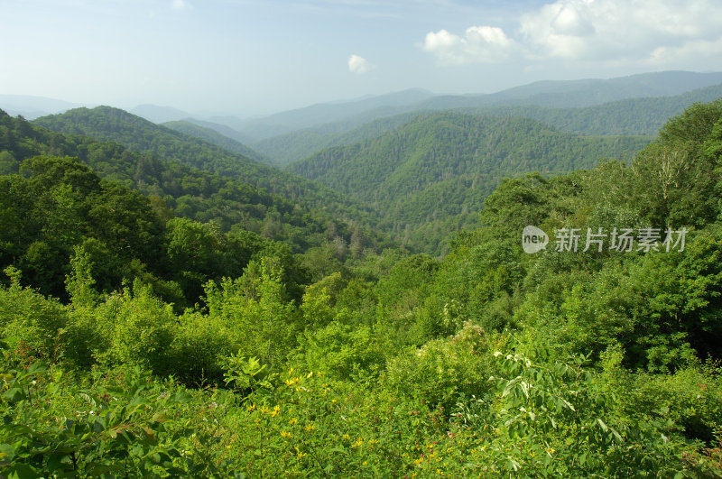 大烟山国家公园的晚春