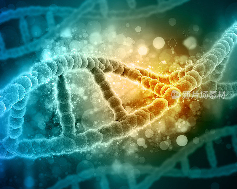 3D医学背景与DNA链