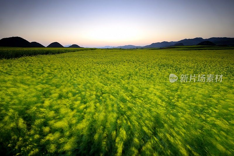 风景优美的田野