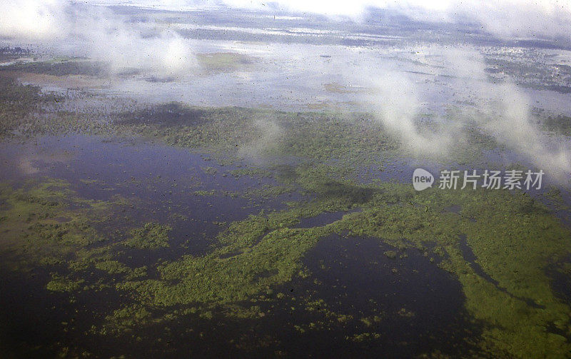 云雾淹没了南美洲亚马逊河、特立尼达、玻利维亚的湿地