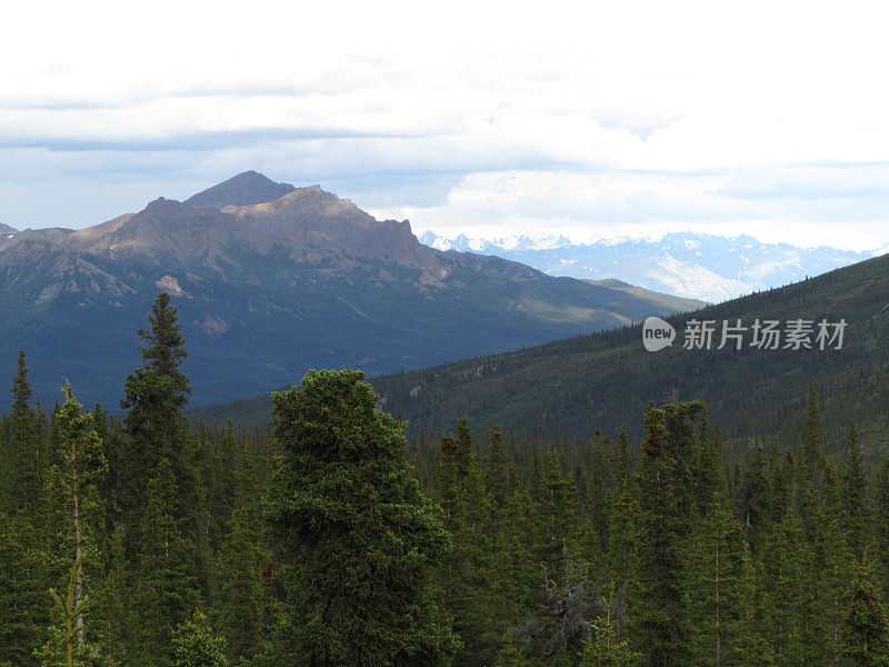 阿拉斯加德纳里国家公园的麦金利山