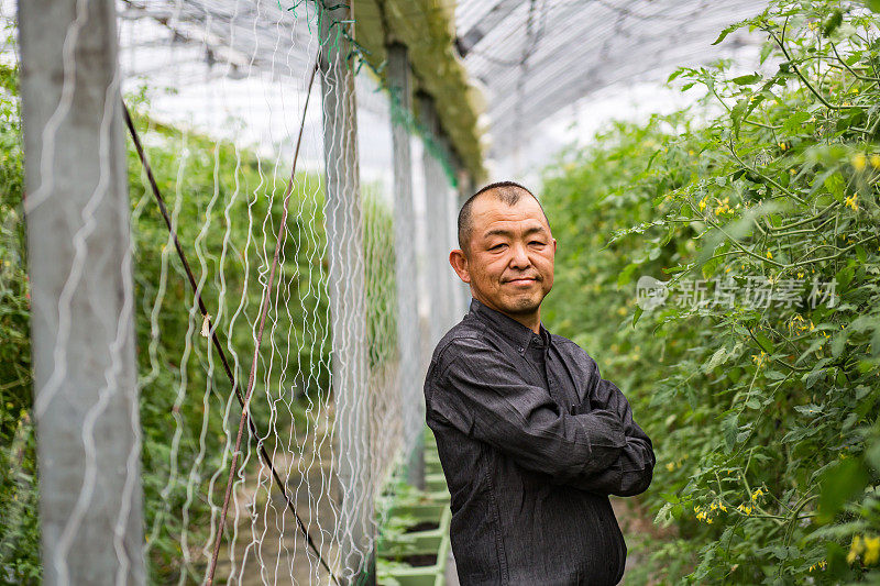 在温室里的农民