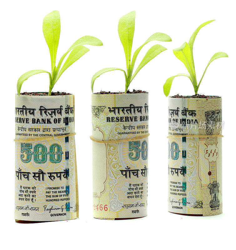 印度货币和绿色植物