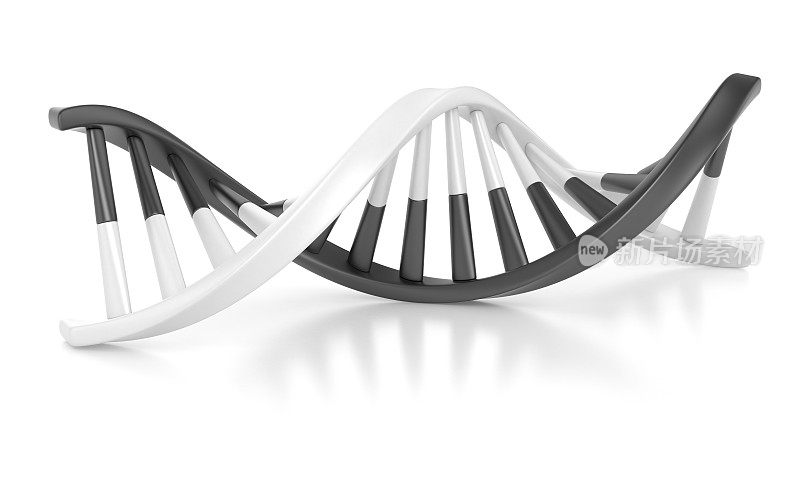 黑白DNA结构