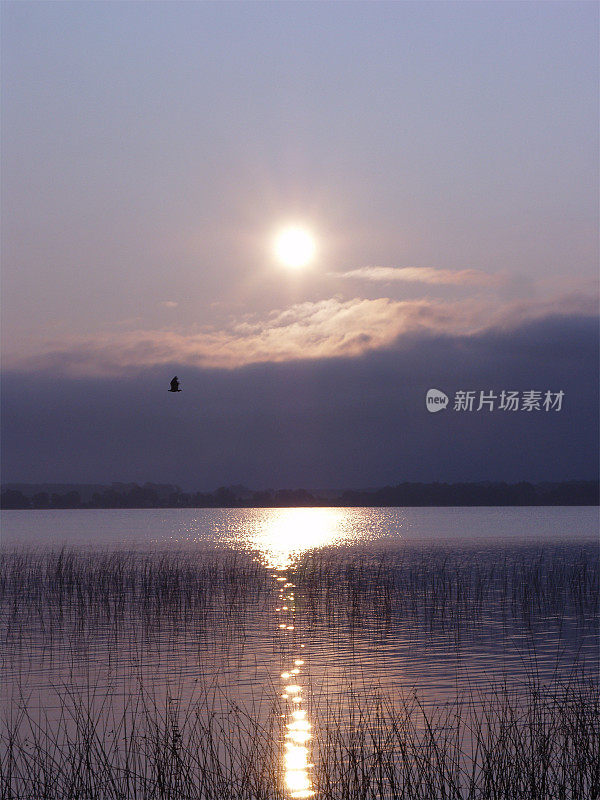 湖上日出