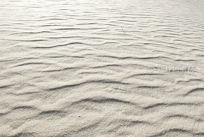 砂质表面，呈波浪状结构