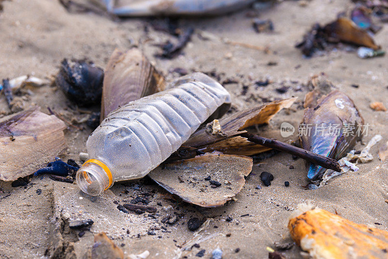 海滩污染。塑料瓶和海滩上的其他垃圾
