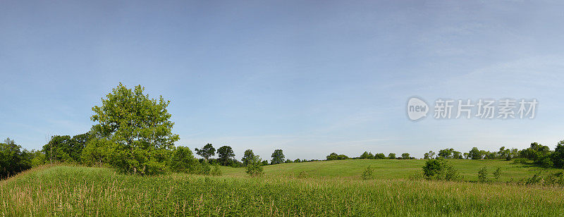 田野和天空全景