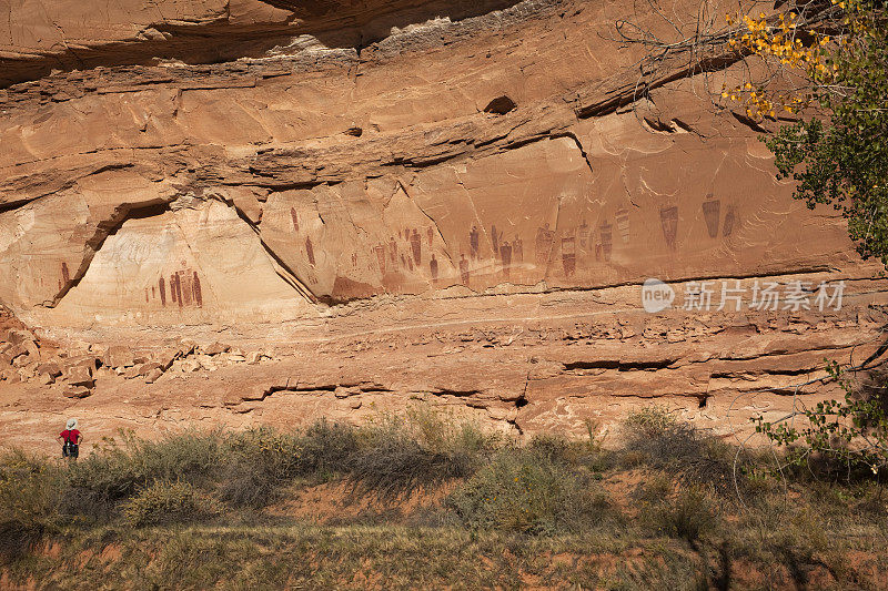 巨大的马蹄峡谷的大画廊峡谷地NP犹他州