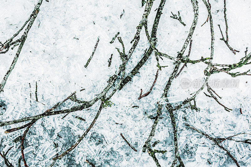 《寒冬风暴》中掉落的树枝和冰
