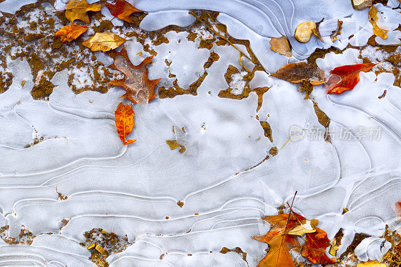 五彩秋叶石化在冰