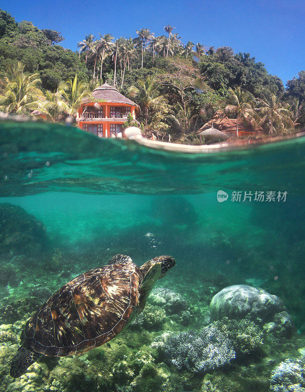 阿波岛水下场景