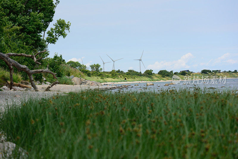 海滩场景Fehmarn