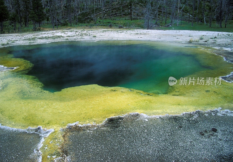 黄石的翡翠池温泉