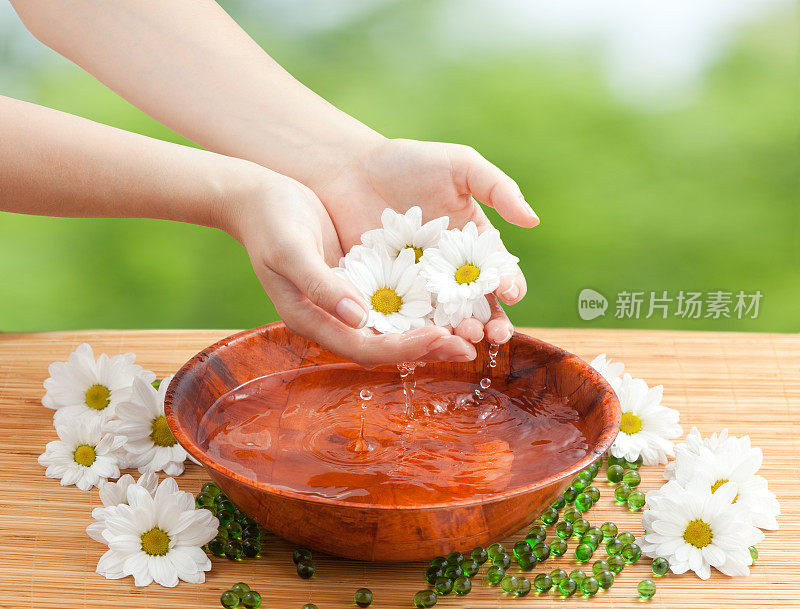 女性手滴水和甘菊