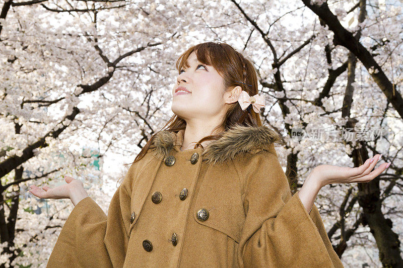 穿着棕色外套的女孩站在樱花的华盖下