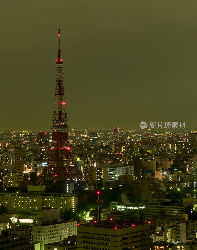 东京在黑暗中的鸟瞰图(XXXL)