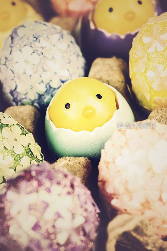 复活节小鸡和闪闪发光的蛋