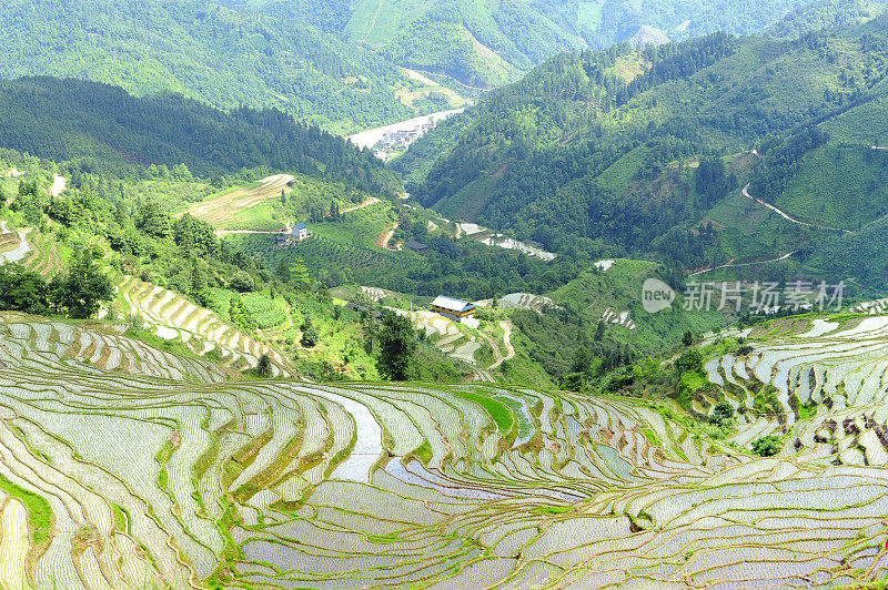 山谷中的梯田