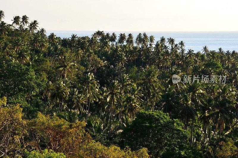 美丽的卡米圭因海岸线和海景，菲律宾