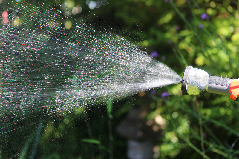 用水龙带形水管给植物浇水，用洒水车喷水