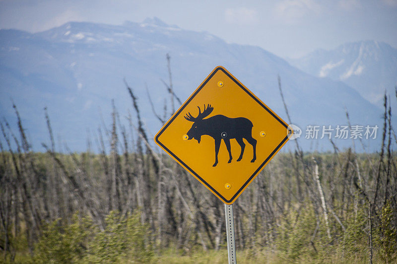 路边有驼鹿的标志