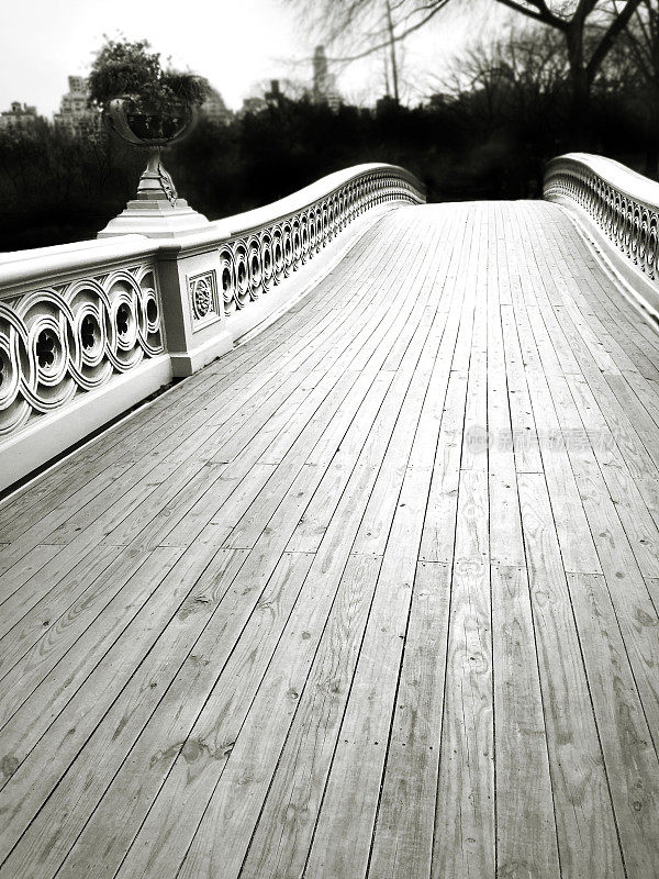 纽约中央公园弓桥