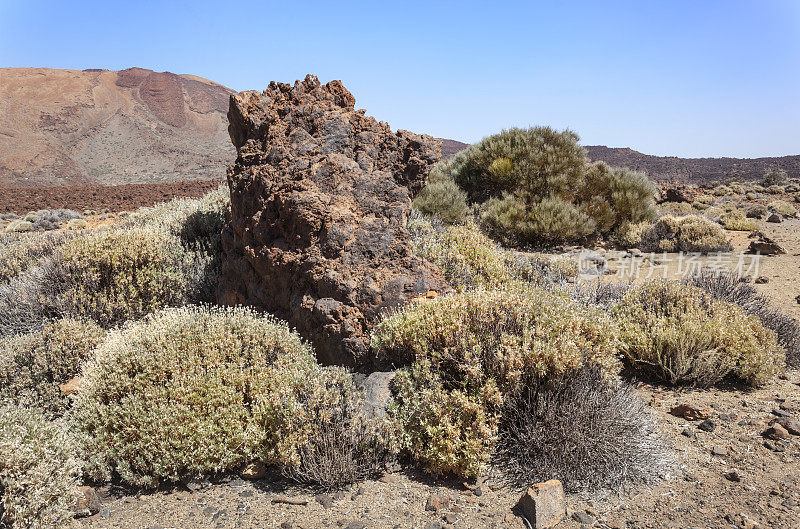 泰德火山口