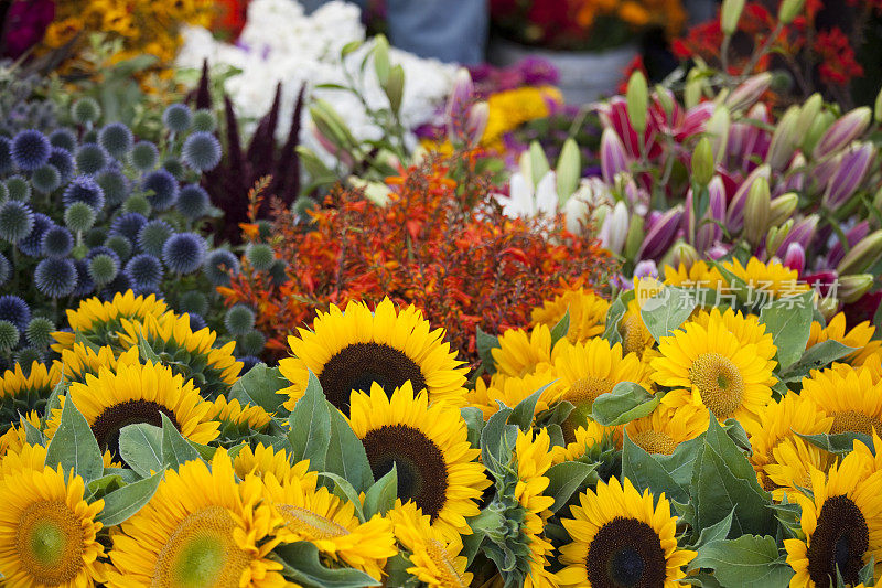 西雅图农贸市场上的鲜花