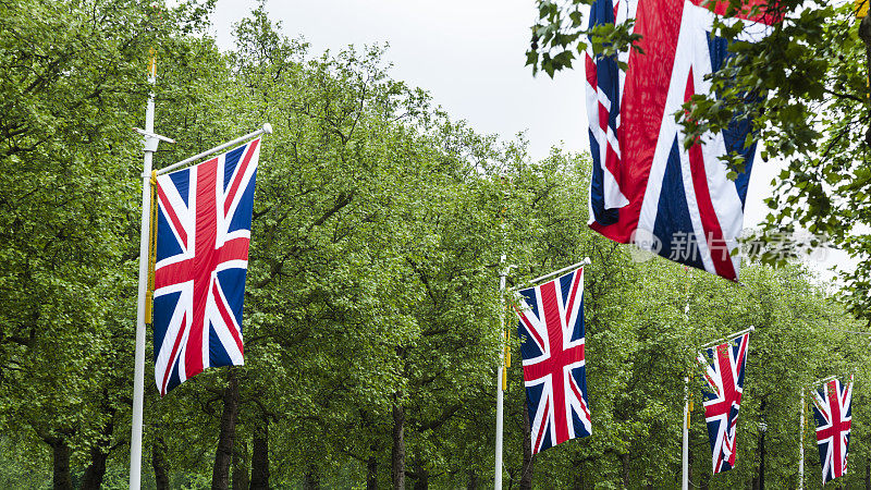 英国国旗在郁郁葱葱的树木中排成一行