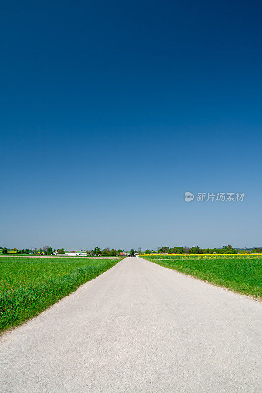 农村道路