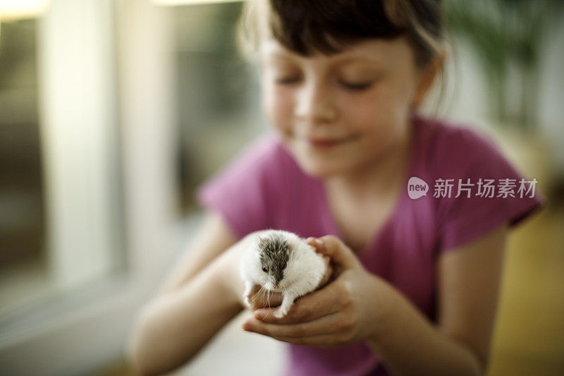 小女孩在和仓鼠玩